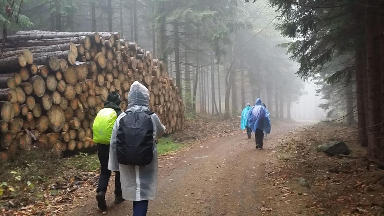 Urlaubsdomizil Am Toepfer - Ferienwohnungen In Olbersdorf Eksteriør billede