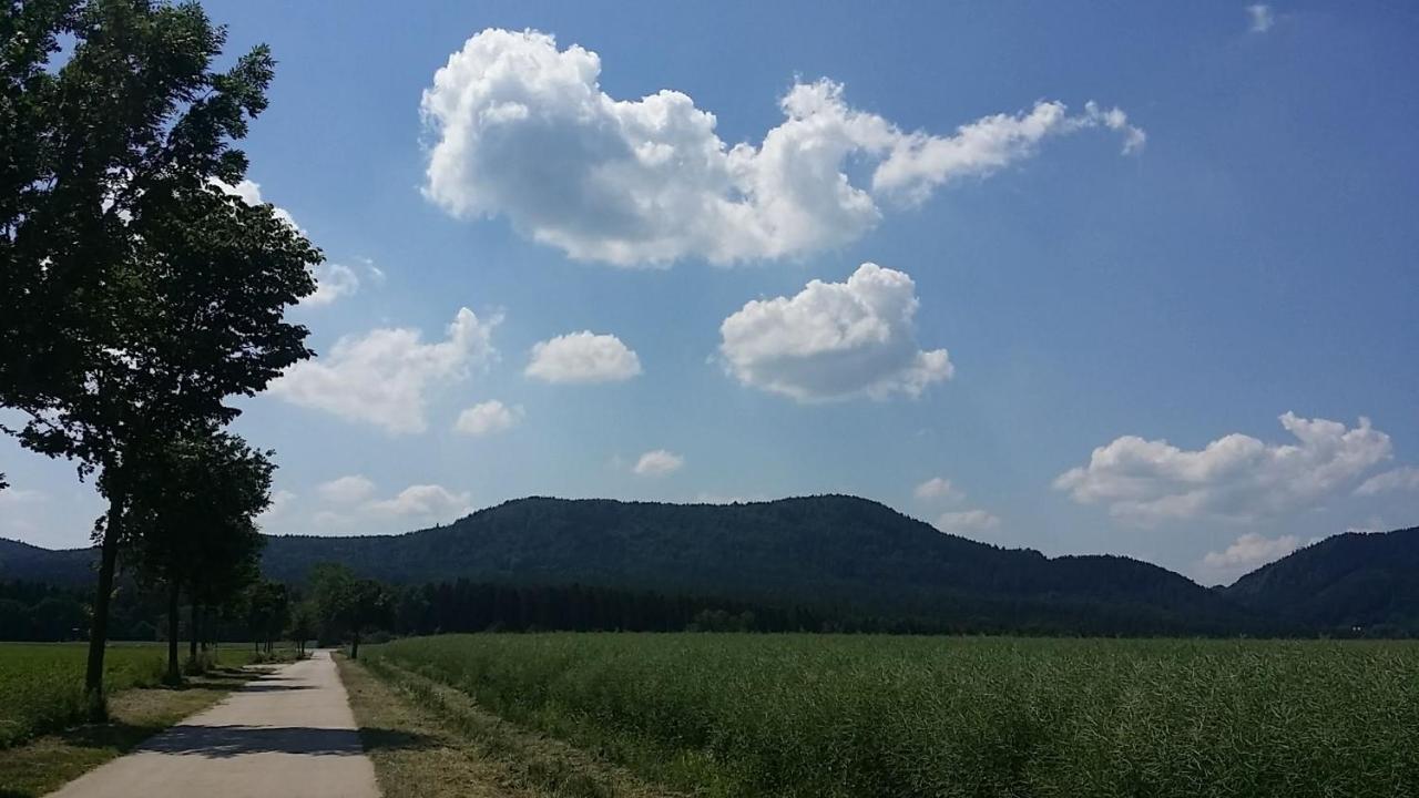 Urlaubsdomizil Am Toepfer - Ferienwohnungen In Olbersdorf Eksteriør billede