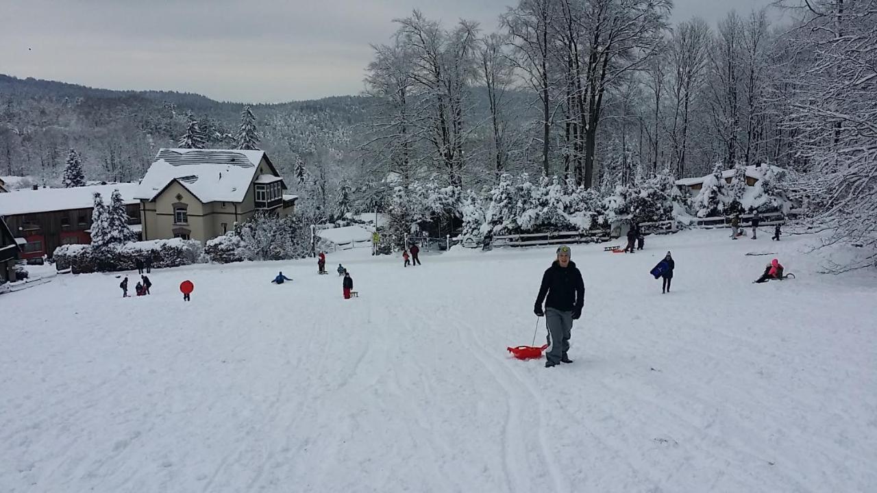Urlaubsdomizil Am Toepfer - Ferienwohnungen In Olbersdorf Eksteriør billede